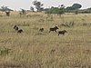 IMG_2606.JPG
