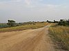 IMG_2626.JPG