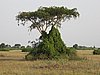 IMG_2636.JPG