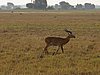 IMG_2637.JPG