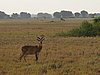 IMG_2638.JPG