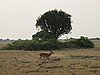 IMG_2639.JPG