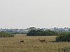 IMG_2640.JPG
