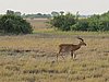 IMG_2641.JPG