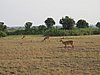 IMG_2644.JPG