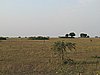 IMG_2645.JPG
