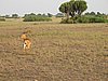 IMG_2646.JPG
