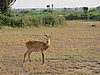 IMG_2647.JPG