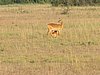 IMG_2648.JPG