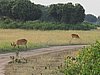 IMG_2654.JPG