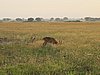 IMG_2655.JPG