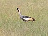 IMG_2669.JPG