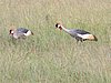 IMG_2670.JPG