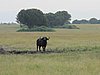IMG_2673.JPG