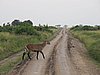 IMG_2688.JPG