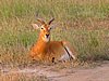IMG_2725.JPG