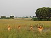 IMG_2727.JPG