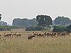 IMG_2734.JPG
