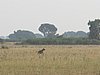 IMG_2735.JPG