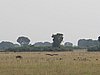 IMG_2736.JPG