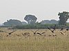 IMG_2739.JPG