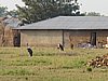 IMG_2742.JPG