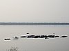IMG_2748.JPG