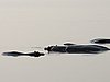 IMG_2751.JPG