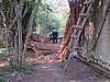 IMG_2763.JPG