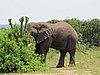 IMG_2773.JPG
