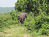 IMG_2775.JPG