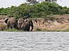 IMG_2782.JPG