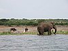 IMG_2786.JPG