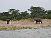 IMG_2787.JPG