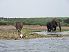 IMG_2791.JPG