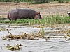 IMG_2794.JPG