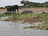 IMG_2795.JPG