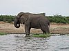 IMG_2797.JPG