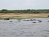 IMG_2801.JPG