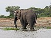 IMG_2802.JPG