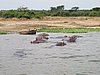 IMG_2803.JPG