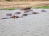 IMG_2804.JPG