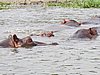 IMG_2805.JPG