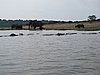 IMG_2809.JPG