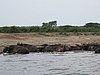 IMG_2810.JPG