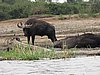 IMG_2811.JPG