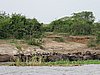 IMG_2813.JPG