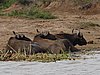 IMG_2814.JPG
