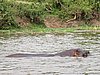 IMG_2817.JPG