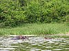 IMG_2819.JPG